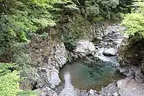 上流方向を撮影した三ノ公川。左側がトガサワラ原始林の指定地。