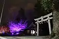 佐野原神社の桜ライトアップ