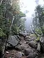 三宝山山頂への登山道（2001年09月撮影）