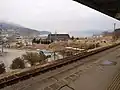 ど根性ポプラのある地区