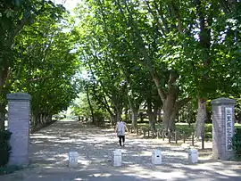 宮内庁下総御料牧場跡(現・三里塚記念公園)