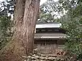 讃州寺本堂と杉の巨木