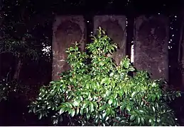 三祖苑
