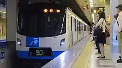 大通駅に進入する9000形（大通駅）