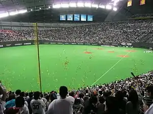 北海道日本ハムファイターズ(札幌ドーム)
