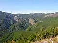 高知県側から望む笹ヶ峰(中央)