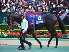 4　サトノクラウン