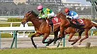 第65回優勝馬サトノダイヤモンド（鞍上：クリストフ・ルメール）