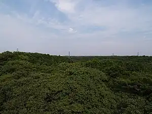 六道山公園の展望台から見た狭山丘陵（2007年6月）