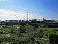 左岸下流側から