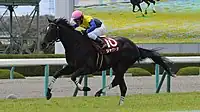 2019年阪神大賞典