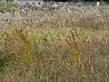 生育環境和歌山県高野町