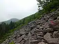 ガレ場
