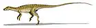 Scutellosaurus lawleri