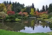 The Seattle Japanese Garden