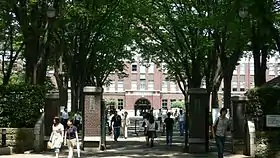 成蹊大学