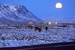 セールフォスの夜景(12月)