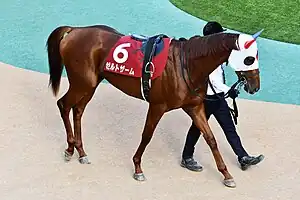 競走馬ゼルトザーム