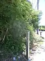 瀬長グスク