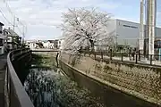 駒沢大学野球部施設付近。上流側に祖師谷中橋（世田谷区上祖師谷）