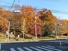 浅間山。西方より。女坂。