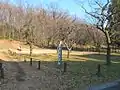 浅間山公園より。