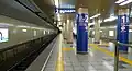 有楽町線ホーム（2009年6月）