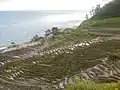 白米の千枚田（輪島市）