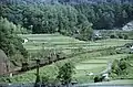 四重連での回送（1978年）
