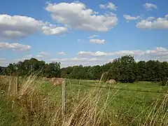 ペルシュロンヌ地域圏自然公園