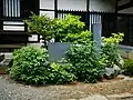 句碑