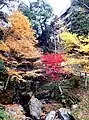 仙龍寺(13番)
