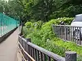 洗足池の北部にある水路。清水窪弁財天などからの湧水が流れ込む。