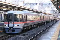 373系による東海道本線の普通列車。