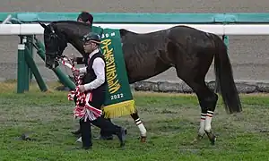 セリフォス（2019年産）