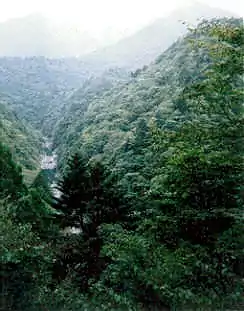 接岨峡大井川鐵道井川線車中より撮影