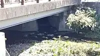 瀬戸川と寺本川の合流点