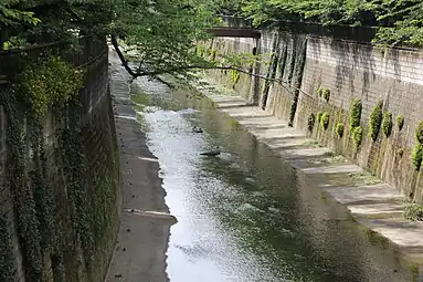 加賀公園裏を流れる石神井川