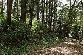 林道の途中にある古墳への入口