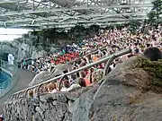 イルカショーの観客