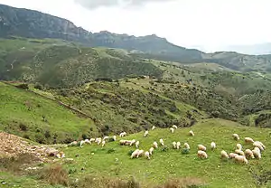 ルーラの風景