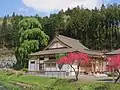 シダレカツラ（左）と瀧源寺本堂