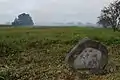 大中の湖南遺跡