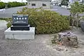 大中湖干拓地入植記念樹