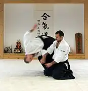 ハンガリーで合気道の稽古をする人々。四方投げ。(2008年)