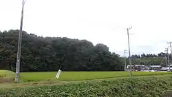 兵庫県三木市志染町細目の栽培地