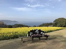 能古島(のこのしまアイランドパーク)