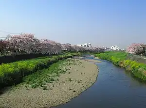 柳瀬川 2009年4月6日撮影