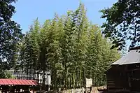 境内側からの全景。背後に見える校舎は赤城北中学校。