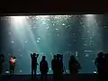 綿津見の景